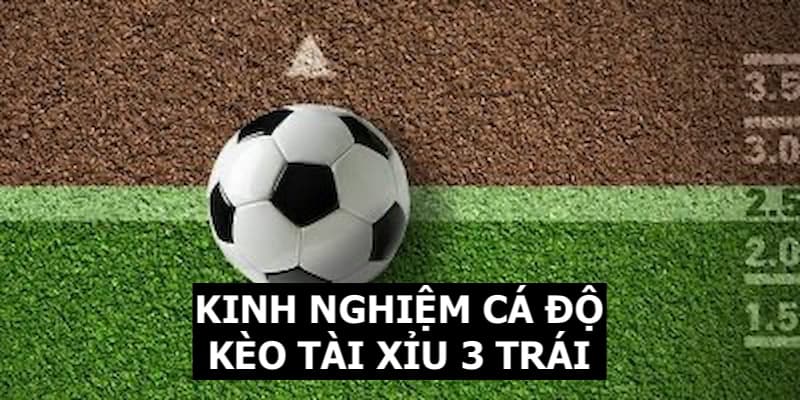 Kinh nghiệm cá độ kèo O/U 3 trái hiệu quả cho khách hàng