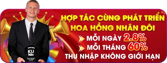 hợp tác đại lý kuwin
